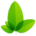 feature icon